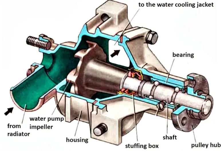 Cross-section cutaway of water pump showing internal components including impeller, shaft, bearing, and housing